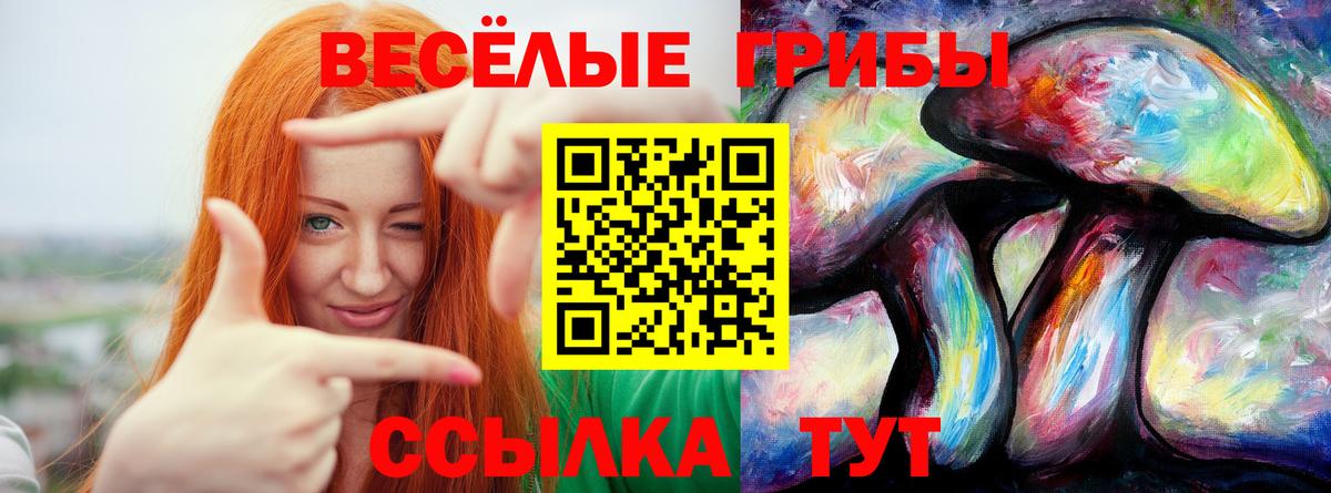 Псилоцибиновые грибы Cubensis  Вход с VPN  Шатура 
