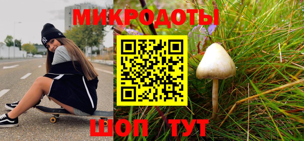 Псилоцибиновые грибы ЛСД Шатура